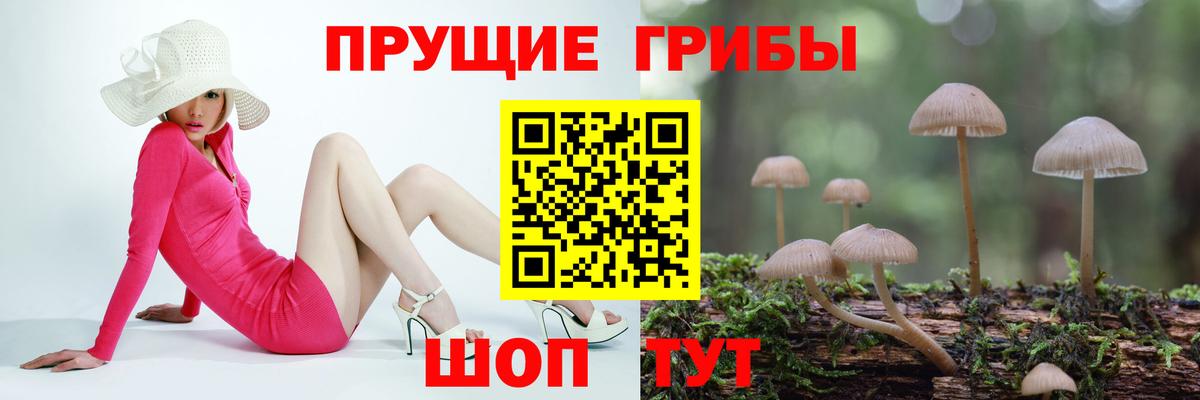 Псилоцибиновые грибы Psilocybe  Галлюциногенные грибы ЛСД  Грозный  Вход с VPN 